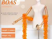 12 pack boa oranje - afbeelding 2 van  2