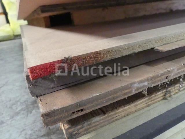 12 panelen met 3 deurblad - afbeelding 3 van  7