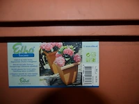 12 vierkante bloempot elho diverse afmetingen 12-26 liter, kleur: terracotta - afbeelding 2 van  4