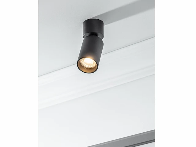 12 x fago kantelbare design spot zwart - afbeelding 9 van  9