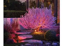 12 x gt focus rgb tuin grond spots - afbeelding 6 van  9
