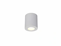 12 x gu10 opbouwspot armatuur cilinder zand wit kantelbaar 8,4cm - afbeelding 2 van  7