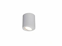 12 x gu10 opbouwspot armatuur cilinder zand wit kantelbaar 8,4cm - afbeelding 4 van  7