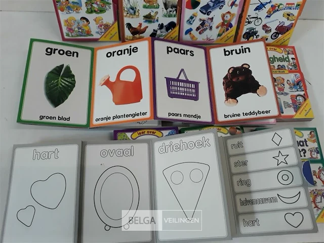 12 x leer over boekje 12 assorti - afbeelding 3 van  3