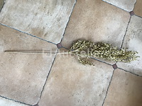 120 gouden takken decoratie - afbeelding 3 van  9