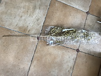 120 gouden takken decoratie - afbeelding 4 van  9