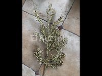 120 gouden takken decoratie - afbeelding 8 van  9