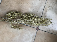 120 gouden takken decoratie - afbeelding 9 van  9