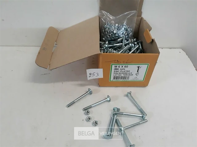 120 x houtbout met moer verzinkt m6x60 - afbeelding 1 van  3