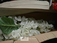±12d deco bloemen - afbeelding 1 van  4