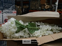 ±12d deco bloemen - afbeelding 2 van  4