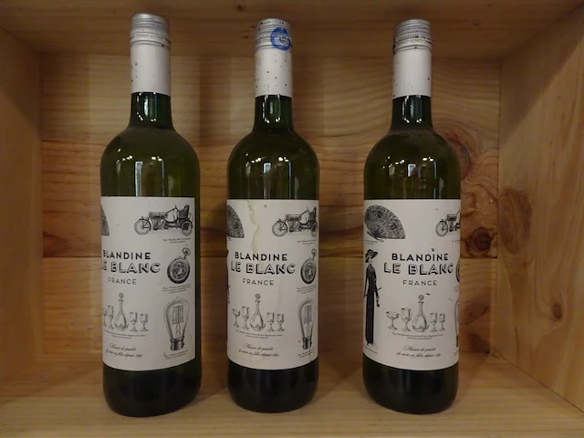 12x 75cl diverse witte wijn - afbeelding 4 van  7