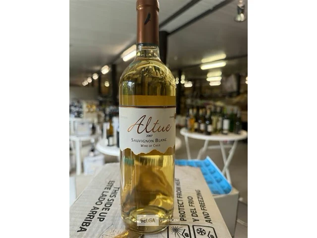 12x1 fles altue sauvignon blanc 2007 - afbeelding 1 van  4