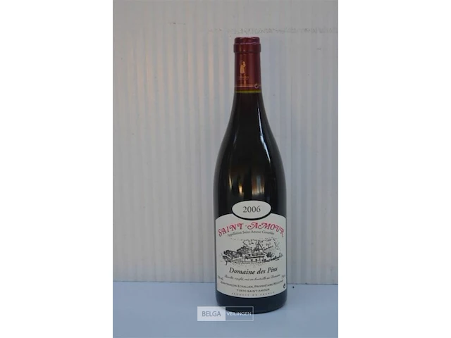 12x750ml saint-amour, domaine des pins , 2006, 13% - afbeelding 1 van  5