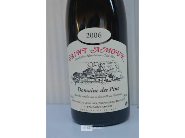 12x750ml saint-amour, domaine des pins , 2006, 13% - afbeelding 2 van  5