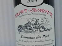 12x750ml saint-amour, domaine des pins , 2006, 13% - afbeelding 2 van  5