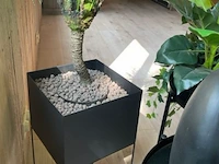 13 bijzettafels en decoratie - afbeelding 2 van  4