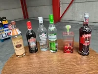 13 diverse flessen vodka - afbeelding 1 van  13
