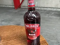 13 diverse flessen vodka - afbeelding 6 van  13