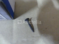 13 gipsplaten schroeven (3,5 x 25) - afbeelding 3 van  6