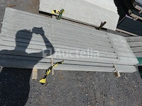 13 palen en 38 betonplaten - afbeelding 4 van  10