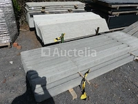 13 palen en 38 betonplaten - afbeelding 5 van  10
