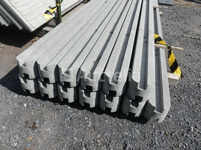 13 palen en 38 betonplaten - afbeelding 6 van  10