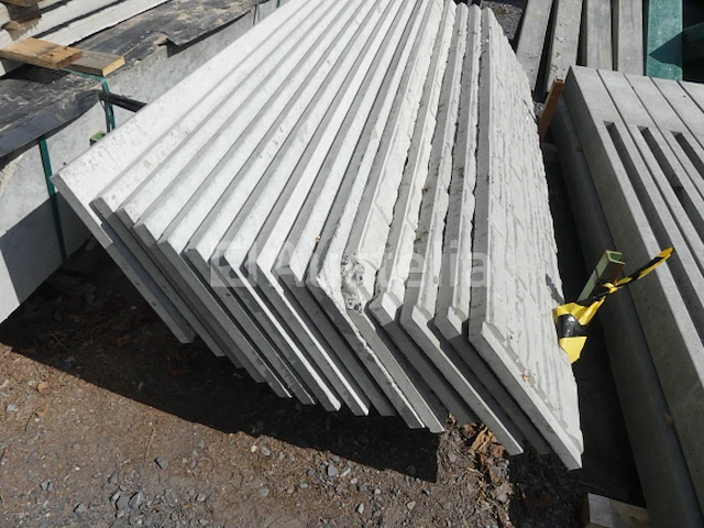 13 palen en 38 betonplaten - afbeelding 7 van  10