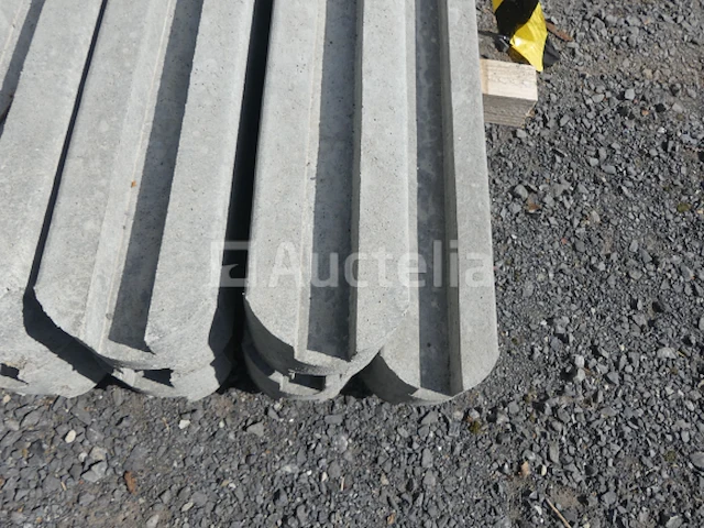 13 palen en 38 betonplaten - afbeelding 9 van  10