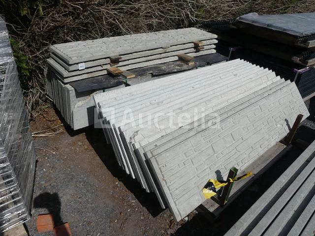 13 palen en 38 betonplaten - afbeelding 10 van  10