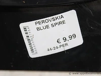14 buitenplantenperovskia blue spire - afbeelding 2 van  2