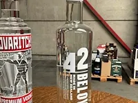 14 diverse flessen vodka tovaritch, 42 below, russian standard - afbeelding 2 van  7