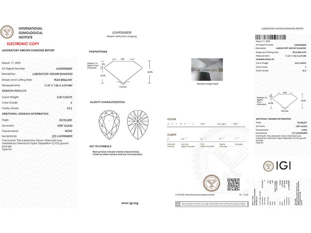 14 karaat witgouden ring met 2,0 kt in het laboratorium gekweekte diamant (maat-eu-54) - afbeelding 2 van  9