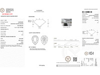 14 karaat witgouden ring met 2,0 kt in het laboratorium gekweekte diamant (maat-eu-54) - afbeelding 2 van  9