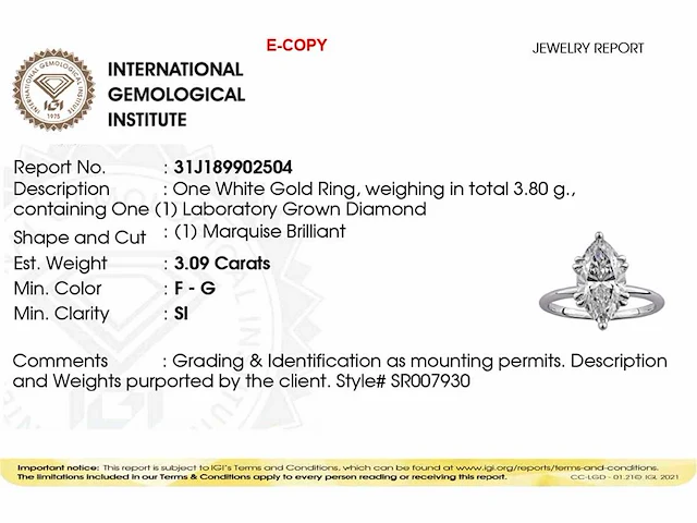 14 kt white gold ring with 3.09 cts lab grown diamond (size-eu-54) - afbeelding 2 van  10