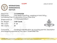 14 kt witgouden ring met 3,09 cts laboratoriumgekweekte diamant (grootte-eu-54) - afbeelding 3 van  10