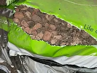 14 zakken 20 l substraat voor begroeide daken - afbeelding 1 van  3