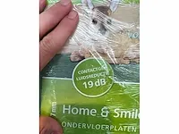 140m² groene isolatieplaat - afbeelding 10 van  10