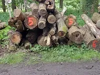 14,4 stère plataan en kastanje - afbeelding 1 van  1