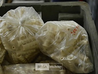 ±14x 100st div pluggen - afbeelding 4 van  7