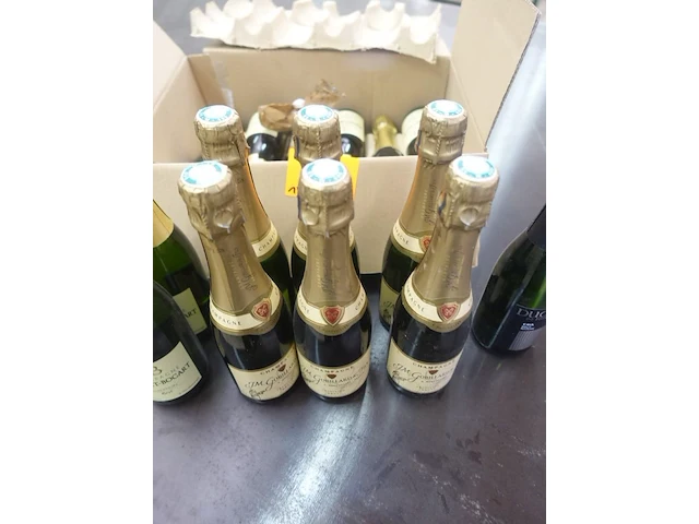 14x champagne - afbeelding 2 van  9