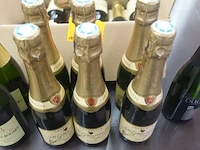 14x champagne - afbeelding 2 van  9