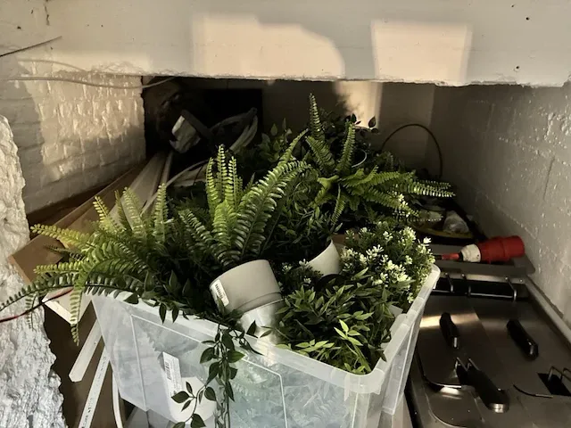 15 deco planten + potten - afbeelding 2 van  10