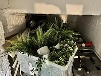 15 deco planten + potten - afbeelding 2 van  10