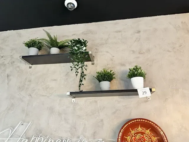 15 deco planten + potten - afbeelding 1 van  10