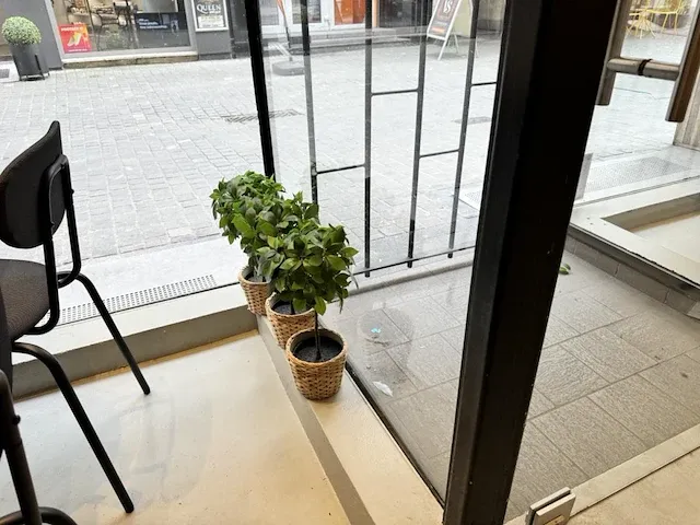 15 deco planten + potten - afbeelding 6 van  10