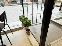 15 deco planten + potten - afbeelding 6 van  10