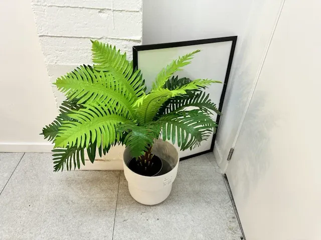 15 deco planten + potten - afbeelding 7 van  10