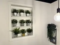 15 deco planten + potten - afbeelding 8 van  10