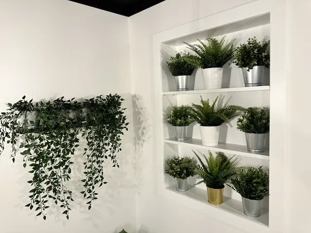 15 deco planten + potten - afbeelding 9 van  10